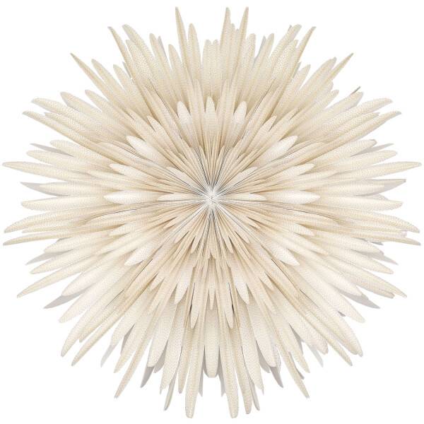 Mea Living Stella-Dalia, Papier weiß "golden dots" 60 cm