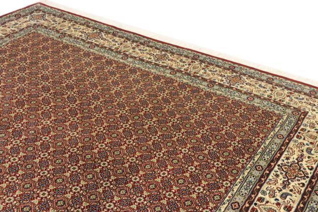 Nain Trading Moud Sherkat 270 x 216 Neuheiten