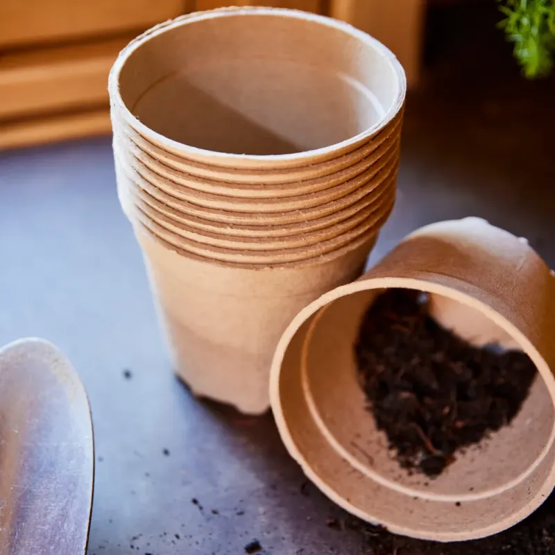 Siena Garden 10er-Pack ECO-Kulturtöpfe Wochenangebot
