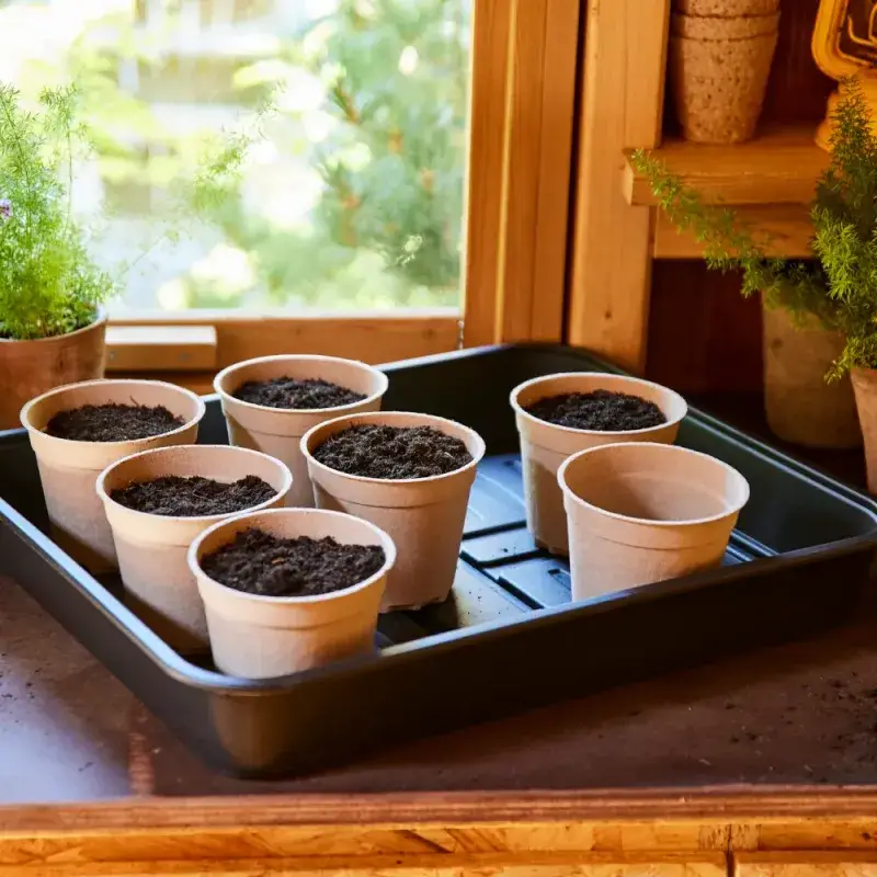 Siena Garden 10er-Pack ECO-Kulturtöpfe Wochenangebot