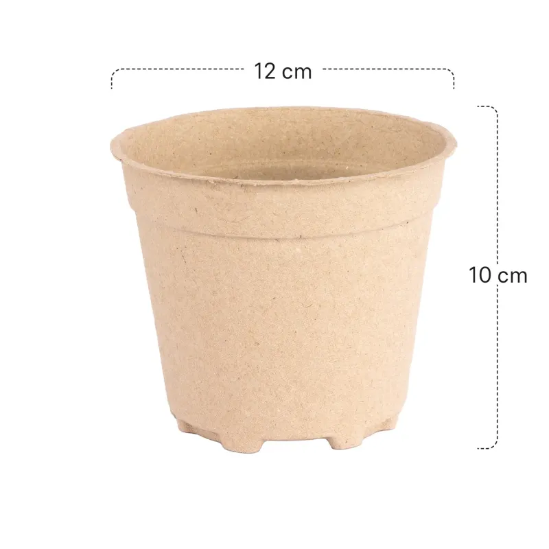 Siena Garden 10er-Pack ECO-Kulturtöpfe Wochenangebot