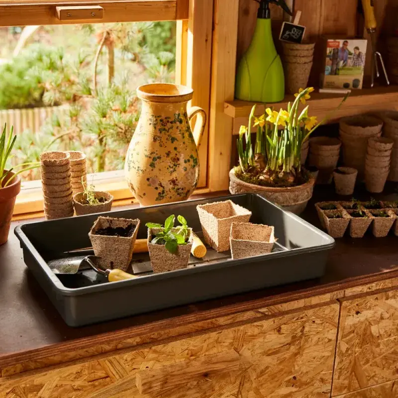Siena Garden 12 Bio-Anzuchttöpfe Ø 8cm Kostenlose Rückgabe