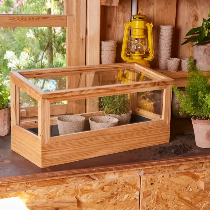 Siena Garden 12 Bio-Anzuchttöpfe Ø11cm Begrenzte Freigabe