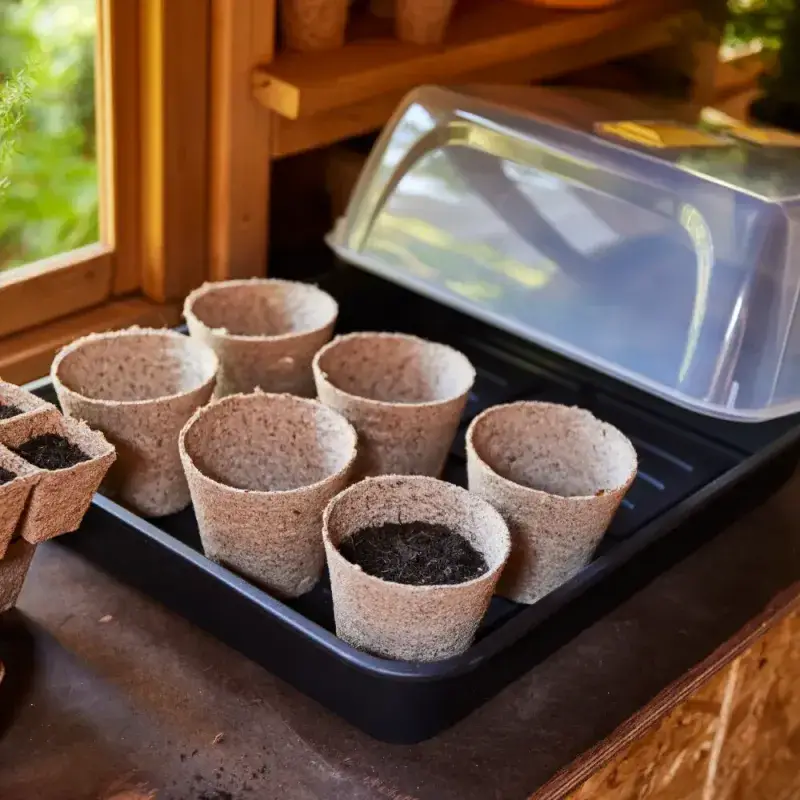 Siena Garden 12 Bio-Anzuchttöpfe Ø11cm Begrenzte Freigabe