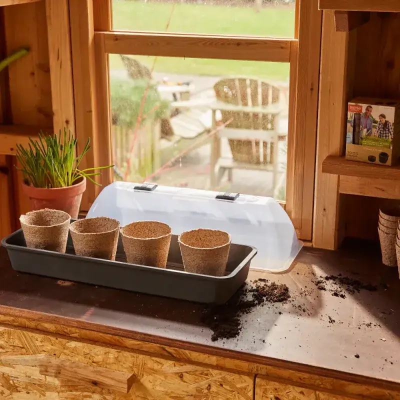 Siena Garden 12 Bio-Anzuchttöpfe Ø11cm Begrenzte Freigabe