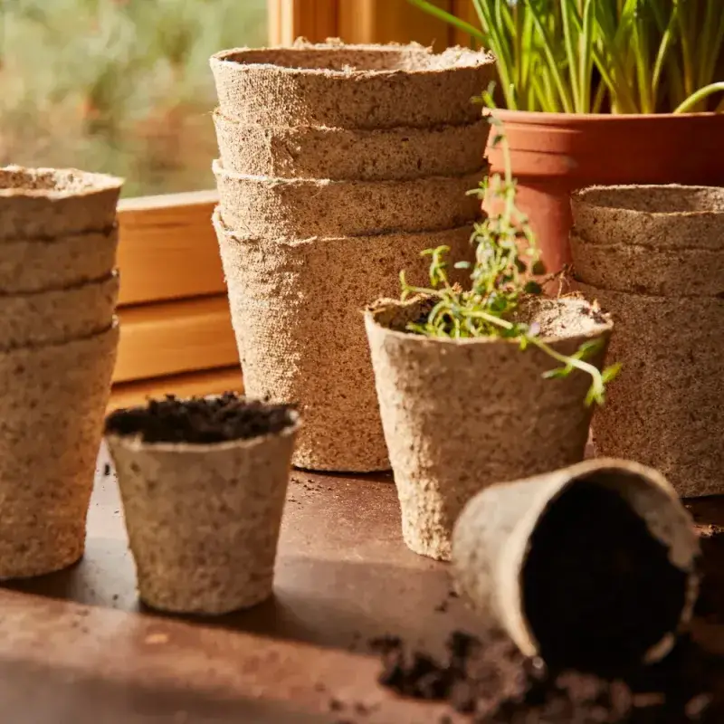 Siena Garden 24 Bio-Anzuchttöpfe Ø 6cm Zeitbegrenzte Promotion