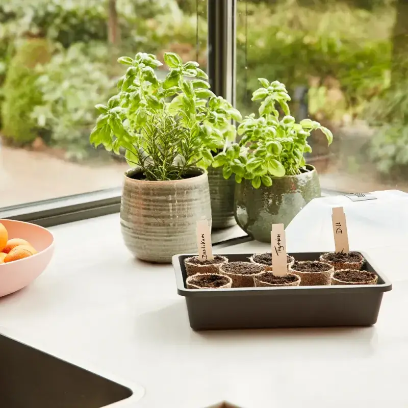 Siena Garden 24 Bio-Anzuchttöpfe Ø 6cm Zeitbegrenzte Promotion