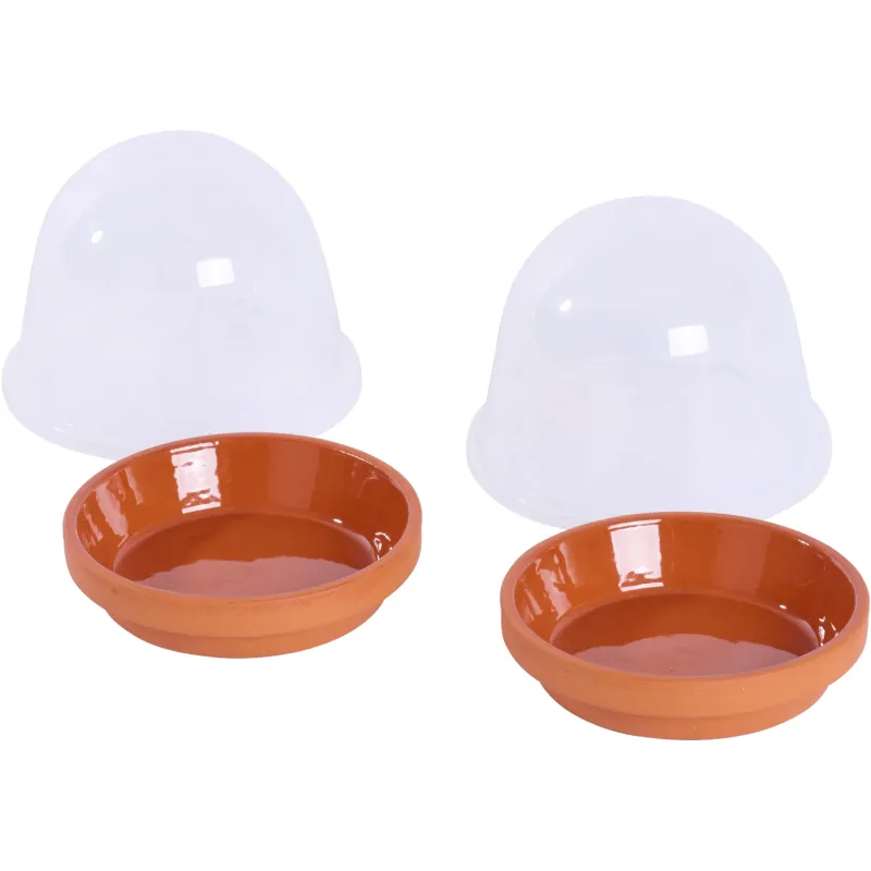 Siena Garden 2er-Mini-Anzuchtset Bis zu 50% Rabatt