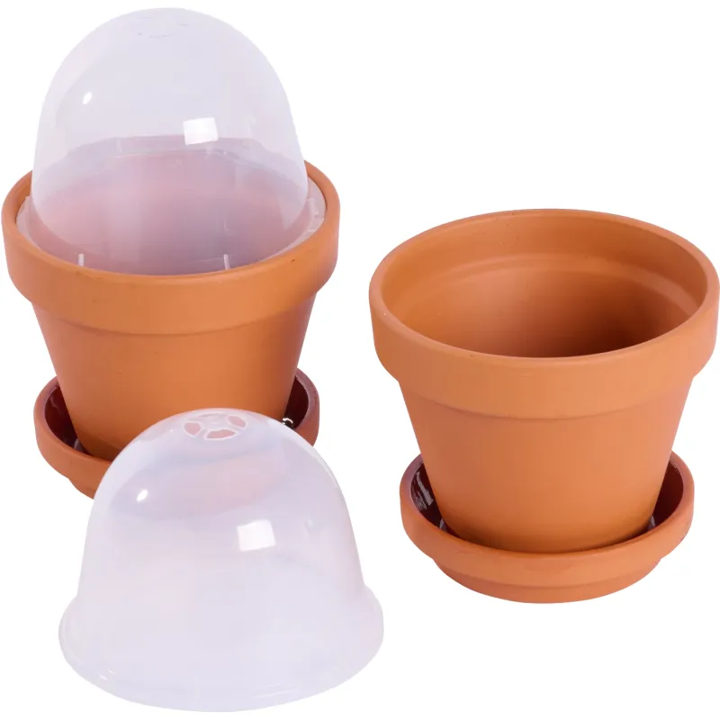 Siena Garden 2er-Set Anzuchttopf Ton Bis zu 60% Rabatt