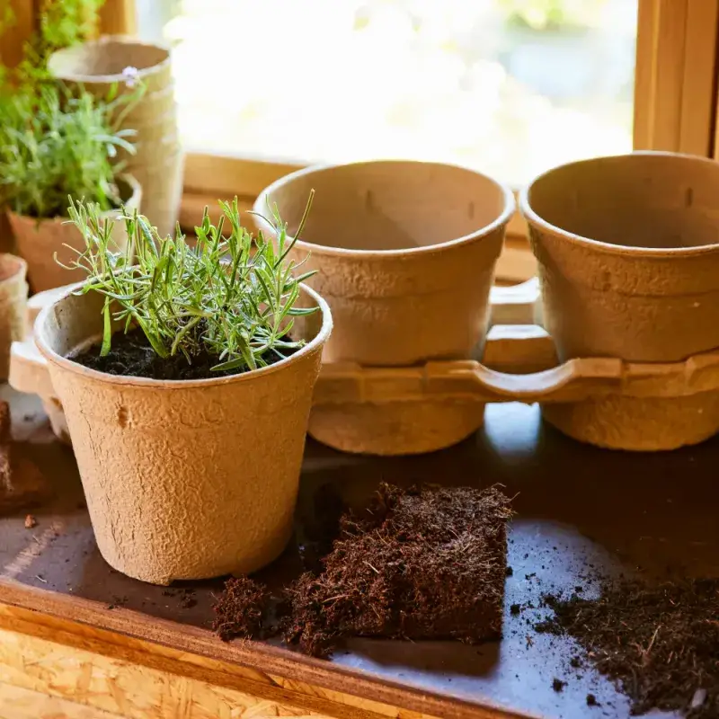 Siena Garden 3er-ECO-Kulturtopfset Nur für heute
