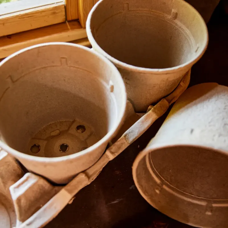 Siena Garden 3er-Pack ECO-Kulturtöpfe Sonderangebot der Fabrik