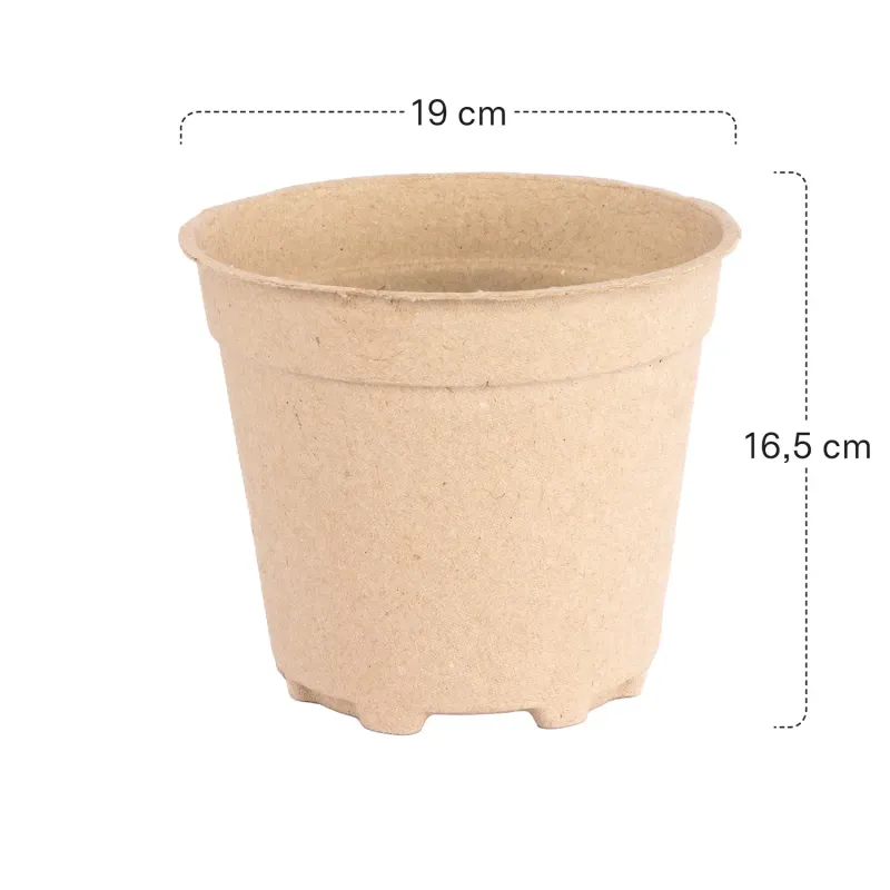 Siena Garden 3er-Pack ECO-Kulturtöpfe Sonderangebot der Fabrik