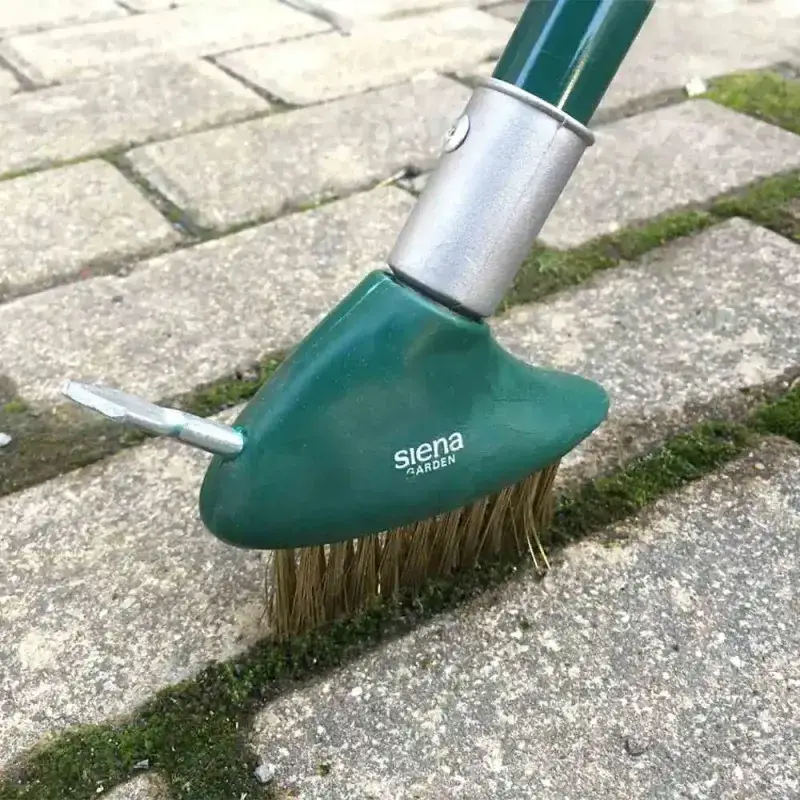 Siena Garden 3in1 Fugenbürsten-Set Vierteljährliche Förderung