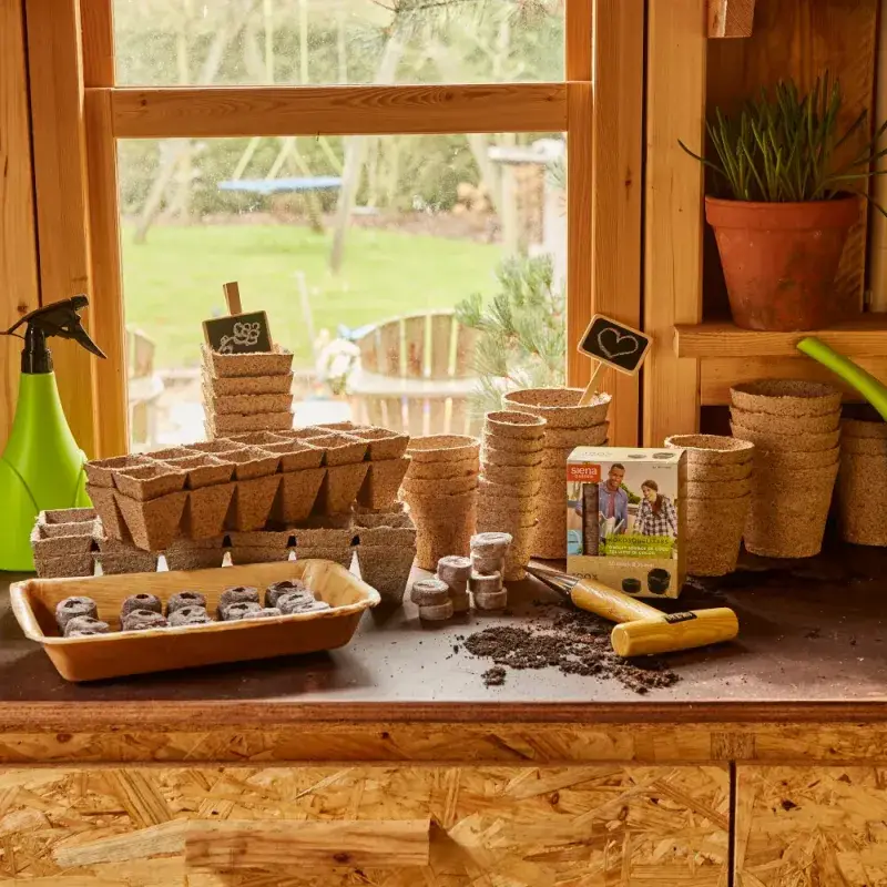 Siena Garden 50 Kokosquelltöpfe mit Netz Ø3,5cm Discount Store für neue Produkte