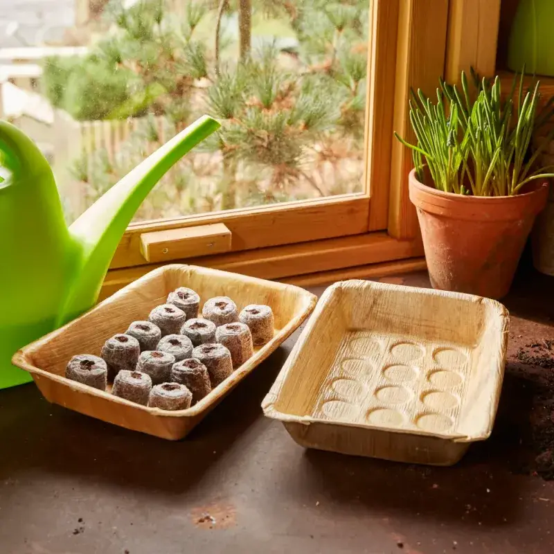 Siena Garden 50 Kokosquelltöpfe mit Netz Ø3,5cm Discount Store für neue Produkte