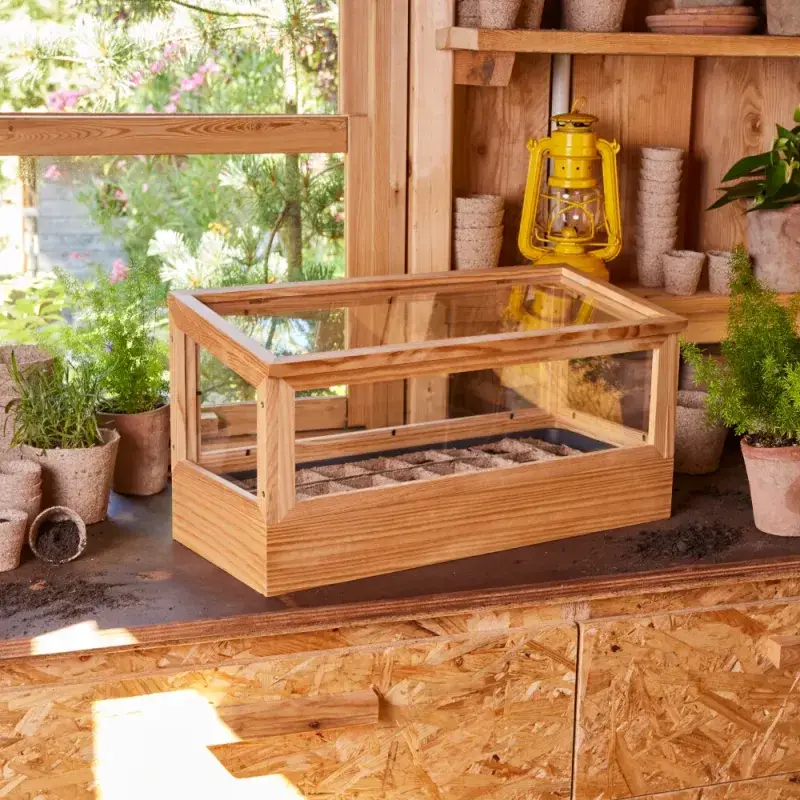 Siena Garden Anzuchtschale 54 x 22 cm VIP-Rabatte