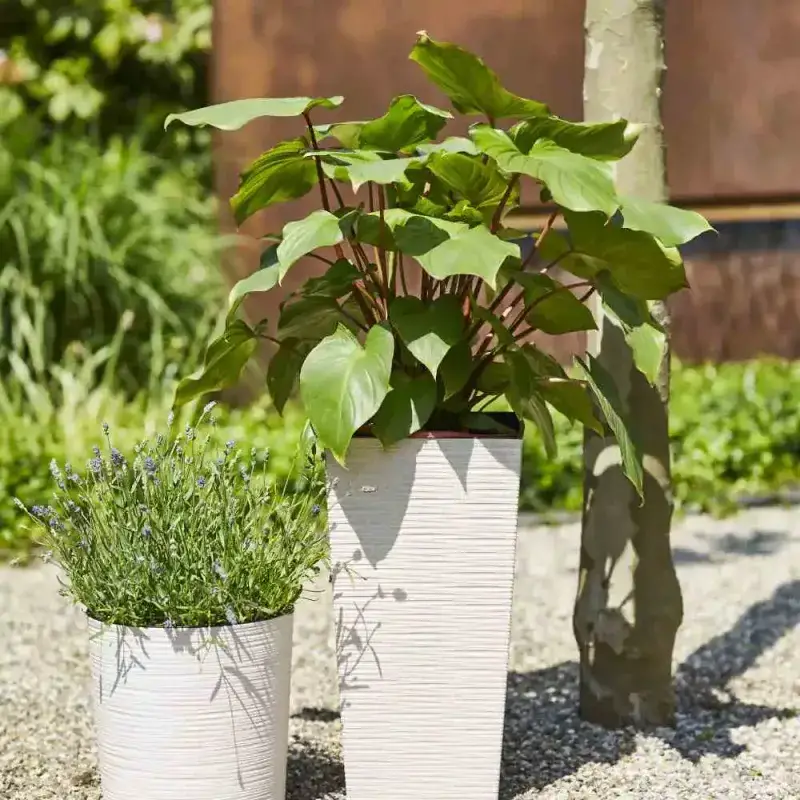 Siena Garden Nizza Groove Blumentopf Rabatte dieses Monats