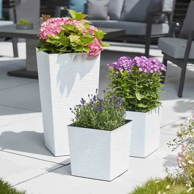 Siena Garden Nizza Groove Blumentopf Hotsell