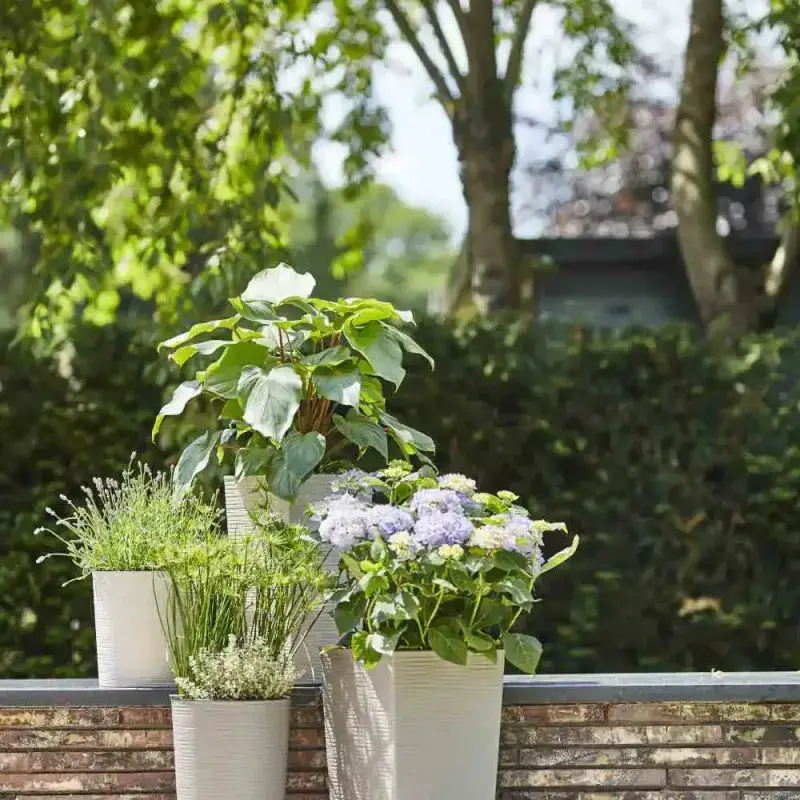 Siena Garden Locon Groove Blumentopf Fabrik Onlineshop