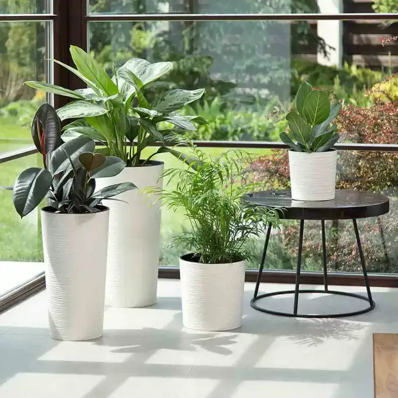 Siena Garden Locon Groove Blumentopf Online Shopping