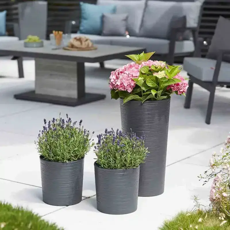 Siena Garden Locon Groove Blumentopf Exklusivangebot
