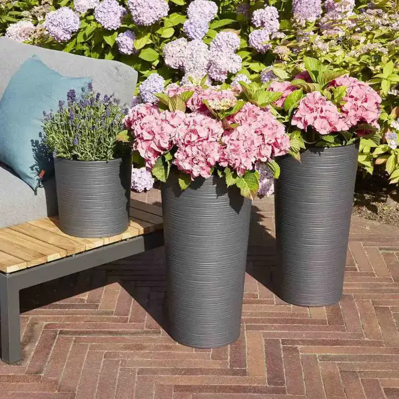 Siena Garden Locon Groove Blumentopf Exklusivangebot