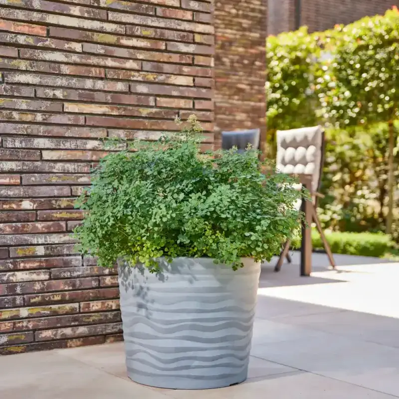 Siena Garden Madrid Blumentopf Outlet