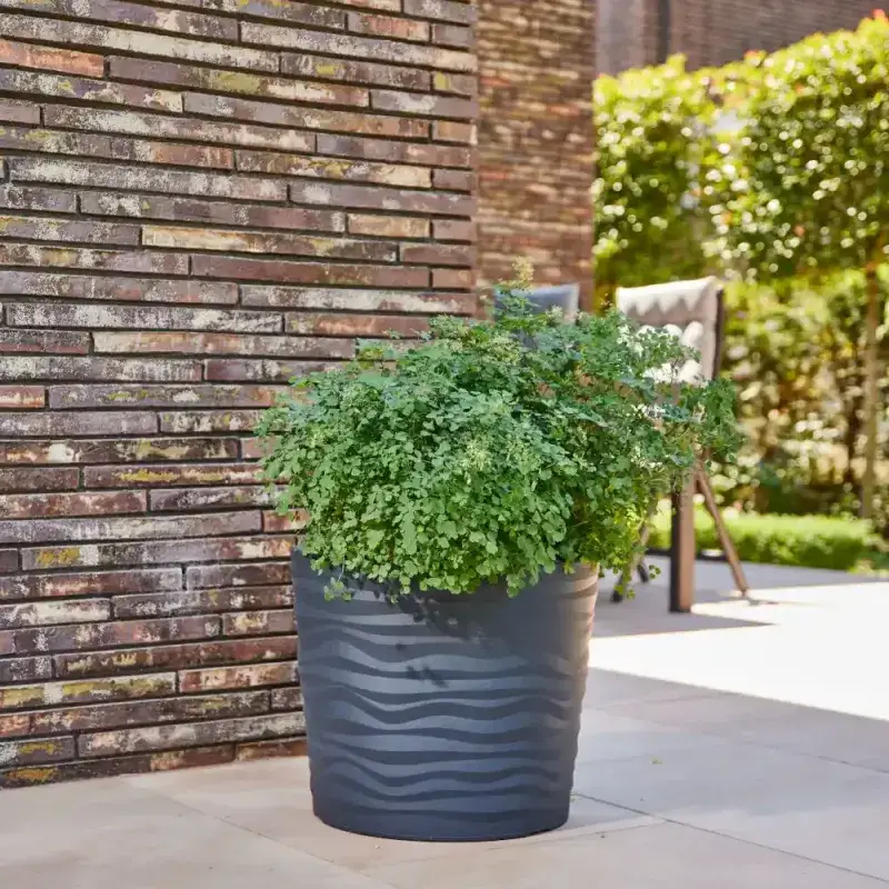 Siena Garden Madrid Pflanzkübel Angebote