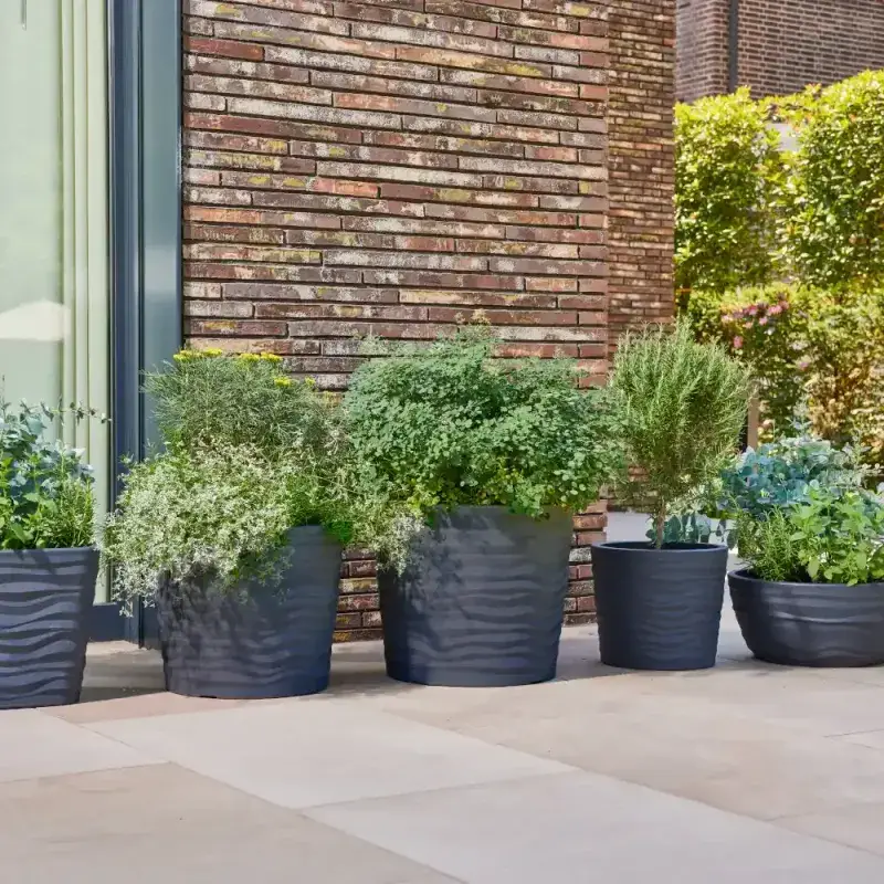 Siena Garden Madrid Pflanzkübel Angebote