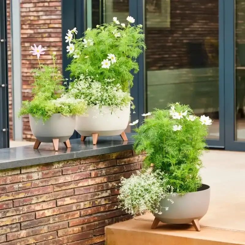 Siena Garden Oslo Blumentopf Flash Sale
