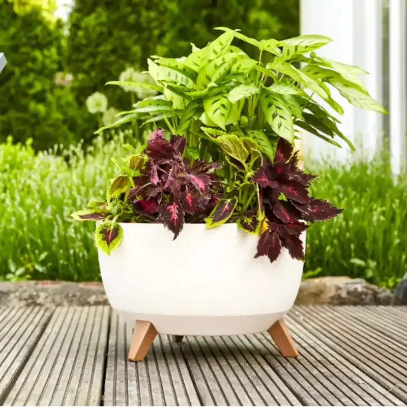 Siena Garden Oslo Blumentopf Online Shopping