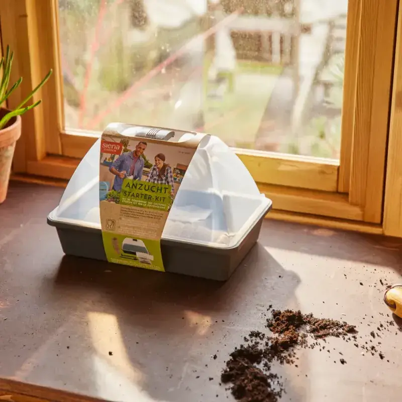 Siena Garden Anzucht Starter-KIT inkl. Quellsubstrat und Werkzeug Outlet