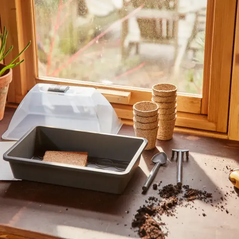 Siena Garden Anzucht Starter-KIT inkl. Quellsubstrat und Werkzeug Outlet