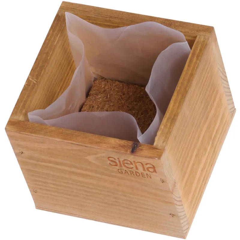 Siena Garden Anzucht- & Kräuter Cube Auslauf
