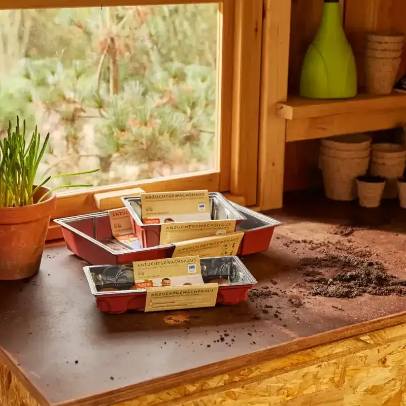 Siena Garden Anzuchtgewächshaus aus Kunststoff 25,5x12,0x9,4cm im Angebot