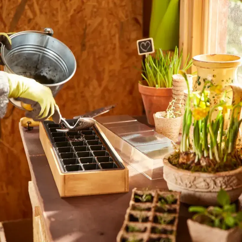 Siena Garden Anzuchtvollholzkiste 27er Topfplatte Günstig kaufen