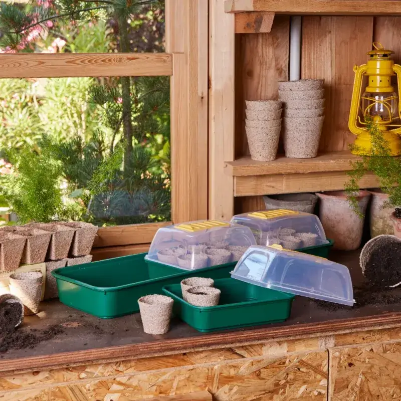 Siena Garden Zimmergewächshaus 3er Set Zeitlich begrenztes Angebot