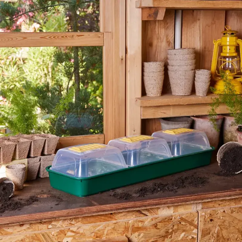 Siena Garden Zimmergewächshaus 3er Set Zeitlich begrenztes Angebot
