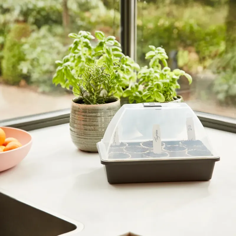 Siena Garden Zimmergewächshaus Midi-Grow Neuheiten