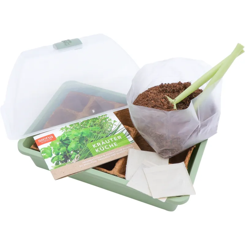 Siena Garden Zimmergewächshaus-Set "Kräutergarten" inkl. Saatgut Kauf eins, bekomm eins gratis