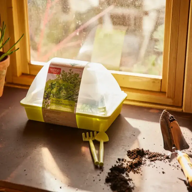 Siena Garden Zimmergewächshaus-Set "Kräutergarten" inkl. Saatgut Kauf eins, bekomm eins gratis
