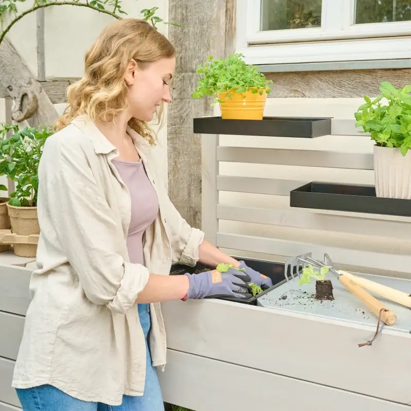Siena Garden BEETBAR® Rankgitter Kiefernholz FSC® 100% grau Sonderangebot der Fabrik
