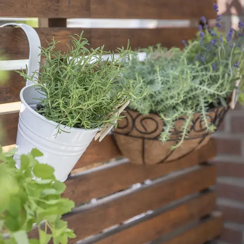 Siena Garden Blumentopf 2er Set inklusive Halter Vierteljährliche Förderung
