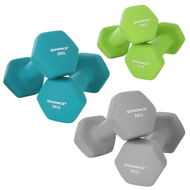 Songmics SONGMICS Kurzhantel Set mit Hantelständer Begrenzte Freigabe