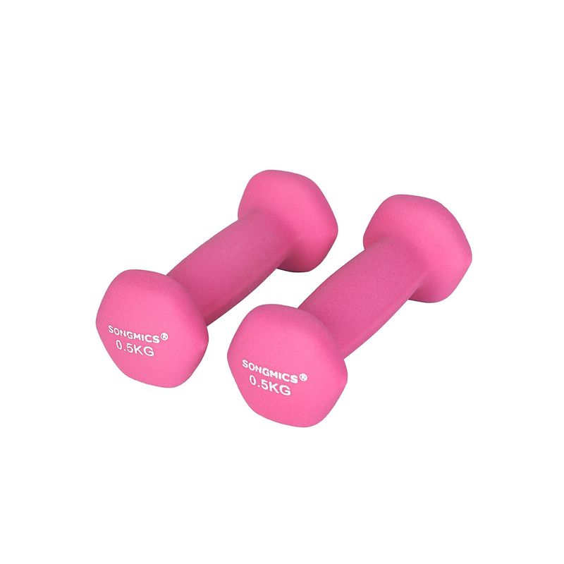 Songmics SONGMICS Kurzhanteln 2 x 0,5 kg Riesige Rabatte