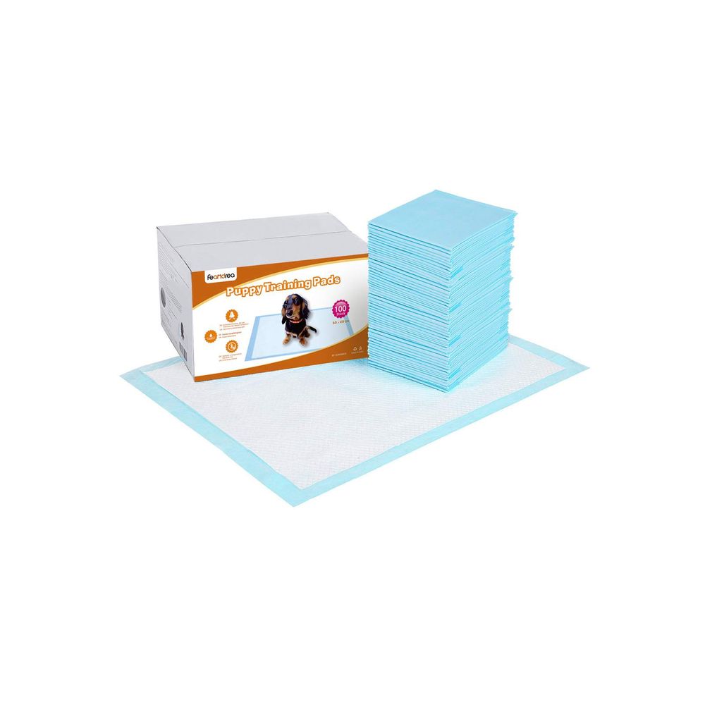 Songmics Feandrea Welpen-Hygienepads 60 x 60 cm 100 Stk Super Rabatt