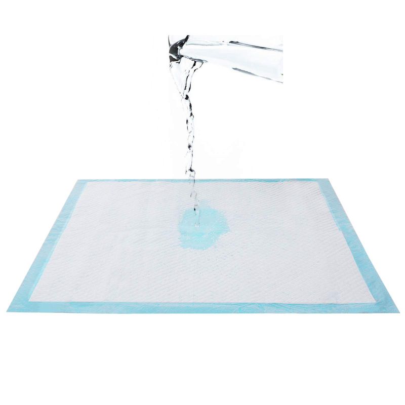 Songmics Feandrea Welpen-Hygienepads 60 x 60 cm 100 Stk Super Rabatt