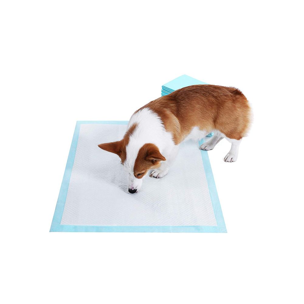 Songmics Feandrea Welpen-Hygienepads 60 x 90 cm 100 Stk Riesige Rabatte