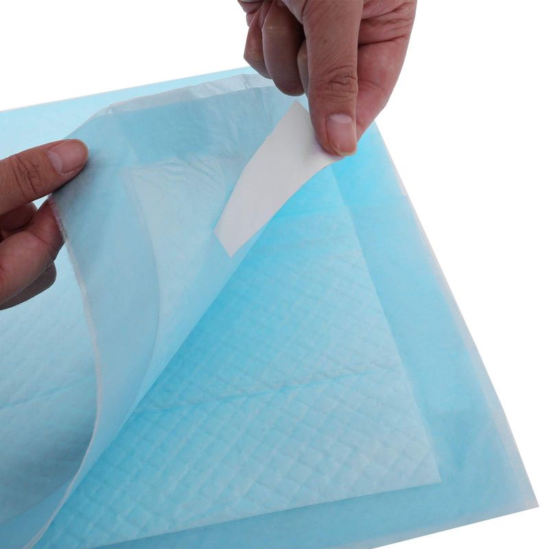 Songmics Feandrea Welpen-Hygienepads 60 x 90 cm 100 Stk Riesige Rabatte